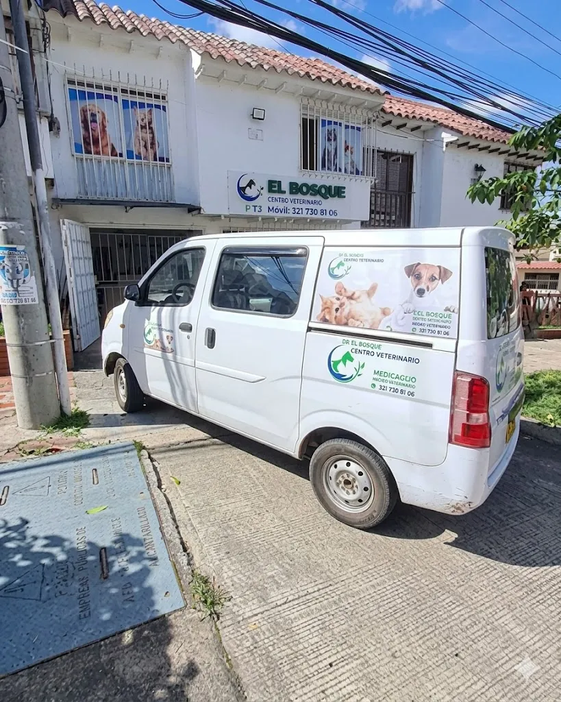Veterinaria a domicilio evaluando un perro en casa