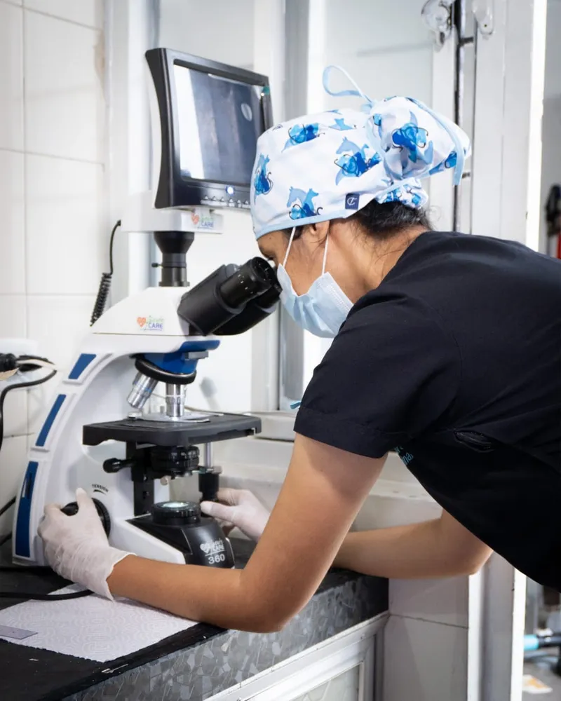 Equipo veterinario realizando pruebas de laboratorio clinico